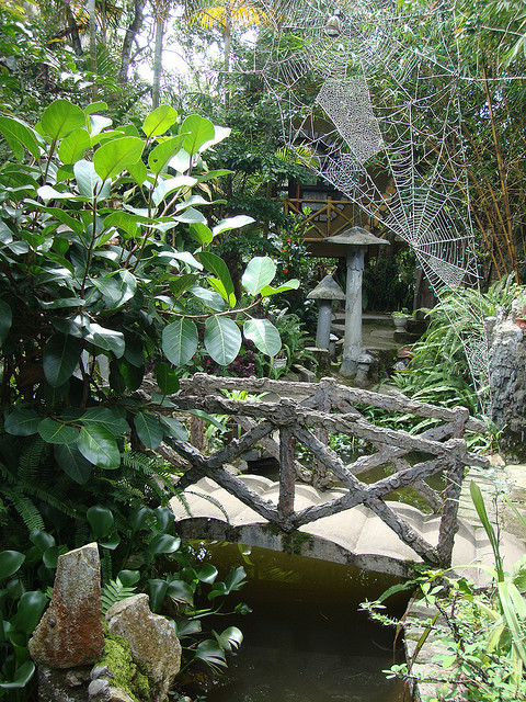 Hang Nga Guesthouse - Detail 3